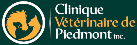 Clinique-Veterinaire-Piedmont-animaux